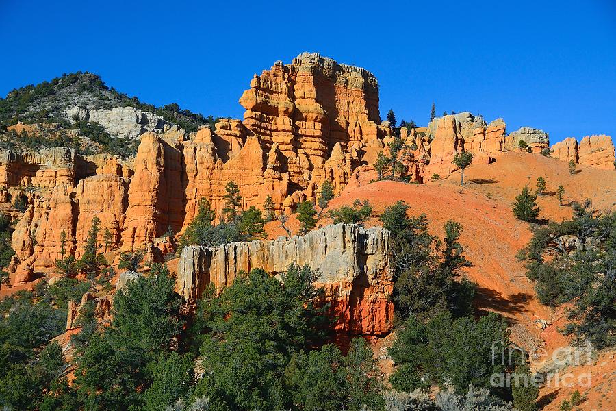 Red Canyon #18 Photograph by Marc Bittan