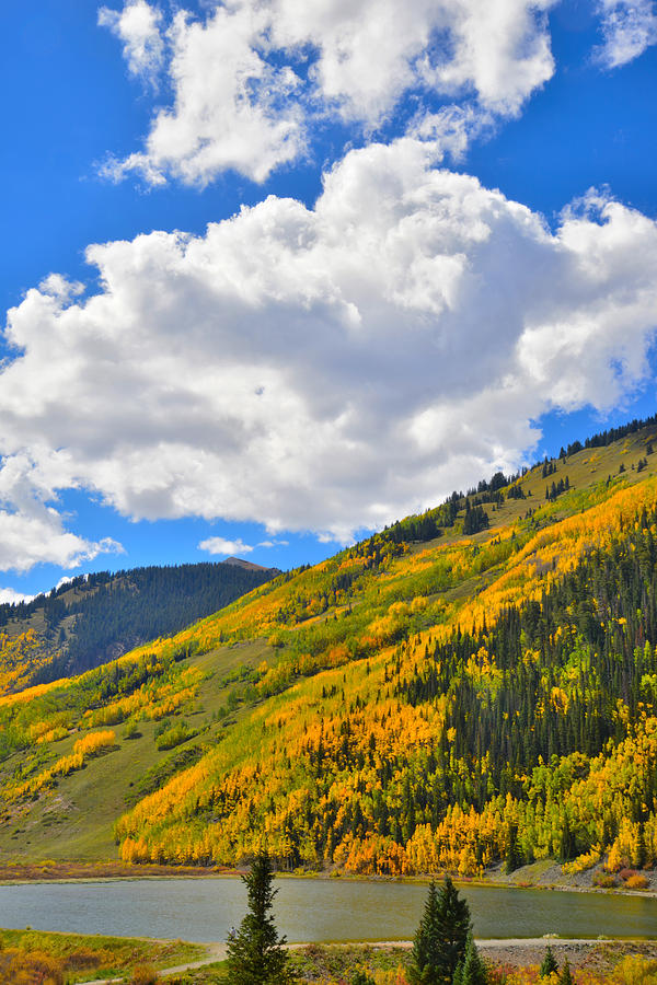 Red Mountain Pass Fall Colors #1 Photograph by Ray Mathis