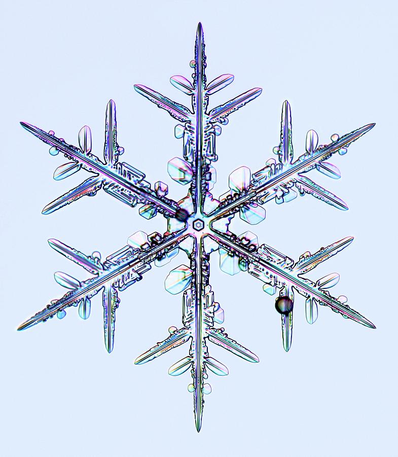 Snowflake Sequins Metal Print by Gustoimages/science Photo Library