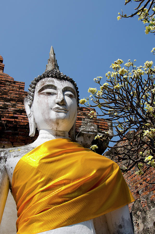 Buddha Photograph - Thailand, Ayutthaya #18 by Cindy Miller Hopkins
