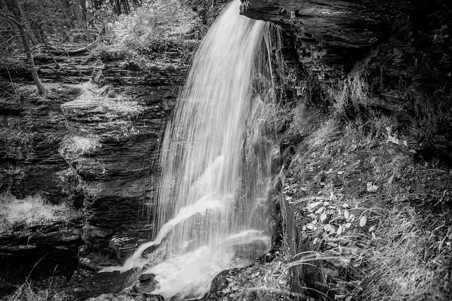 Waterfalls George W Childs National Park Painted BW   #18 Photograph by Rich Franco
