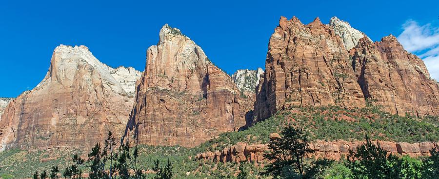 Zion National Park #18 Photograph by Willie Harper