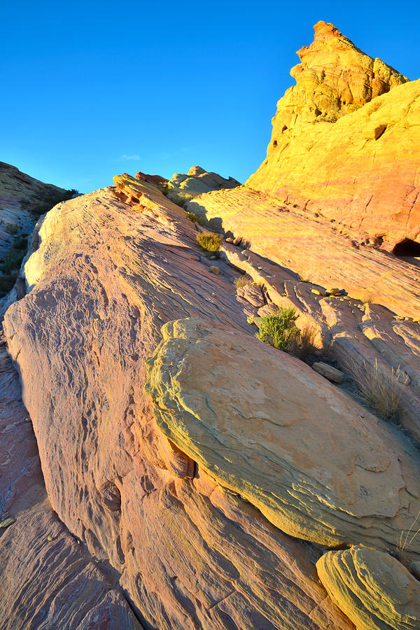 Valley of Fire #182 Photograph by Ray Mathis