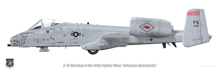 Jet Digital Art - 181st FS A-10 Warthog by Barry Munden
