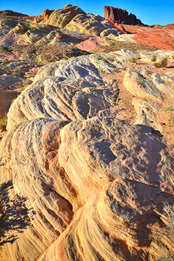 Valley of Fire #407 Photograph by Ray Mathis