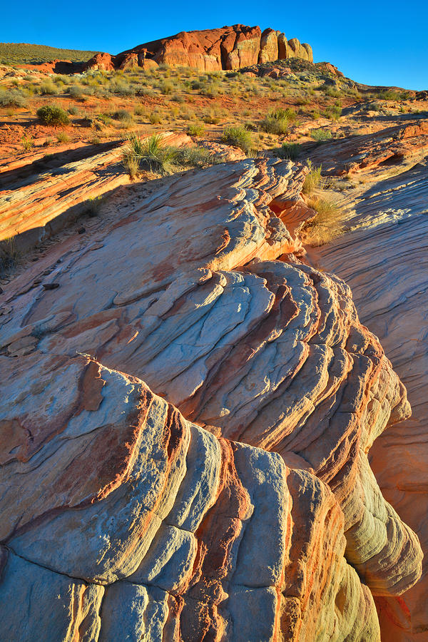 Valley of Fire #184 Photograph by Ray Mathis