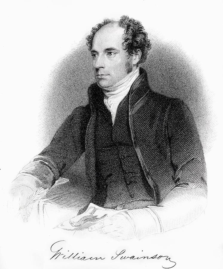 1840 William Swainson Naturalist Portrait Photograph by Paul D Stewart
