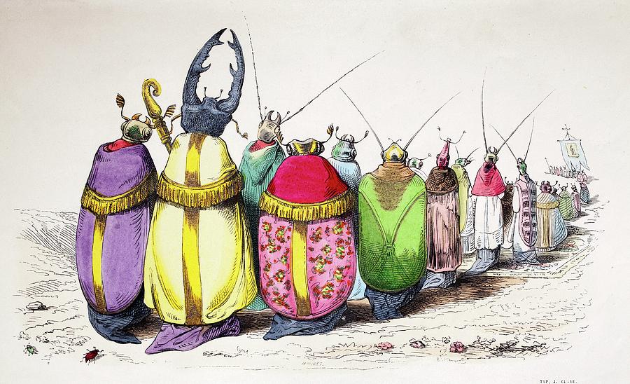 1842 Caricature Coloured Church Beetles Photograph by Paul D Stewart