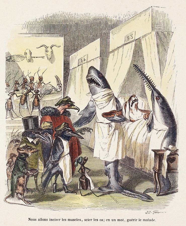 1842 Surgeon Doctors As Sharks Photograph by Paul D Stewart