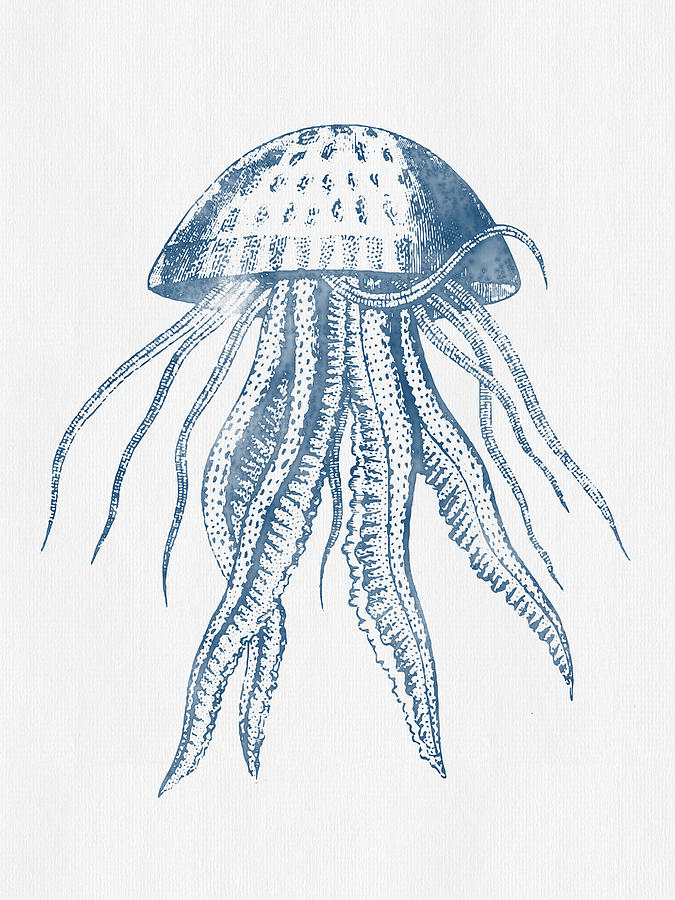 Octopus Digital Art - 1844 Octopus Ink Drawing by Aged Pixel