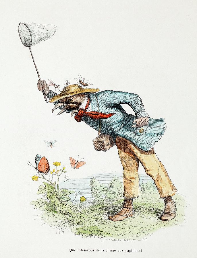 1845 Victorian Butterfly Collector Photograph by Paul D Stewart