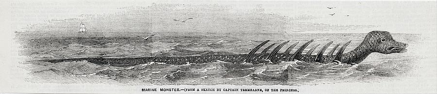 1856 Princess Many-finned Sea Monster Photograph by Paul D Stewart