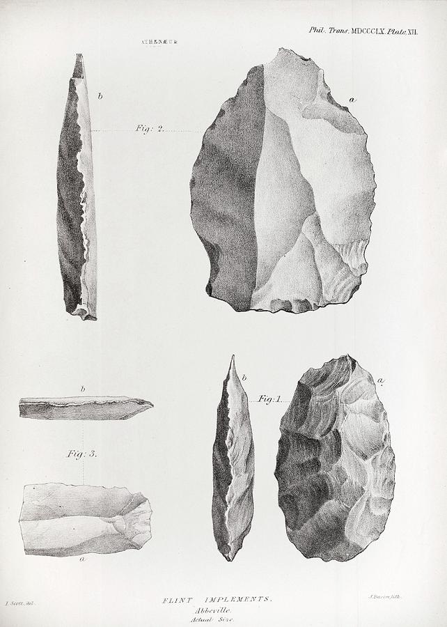 Paleolithic Photograph - 1860 Flint Implements Prestwich Article by Paul D Stewart