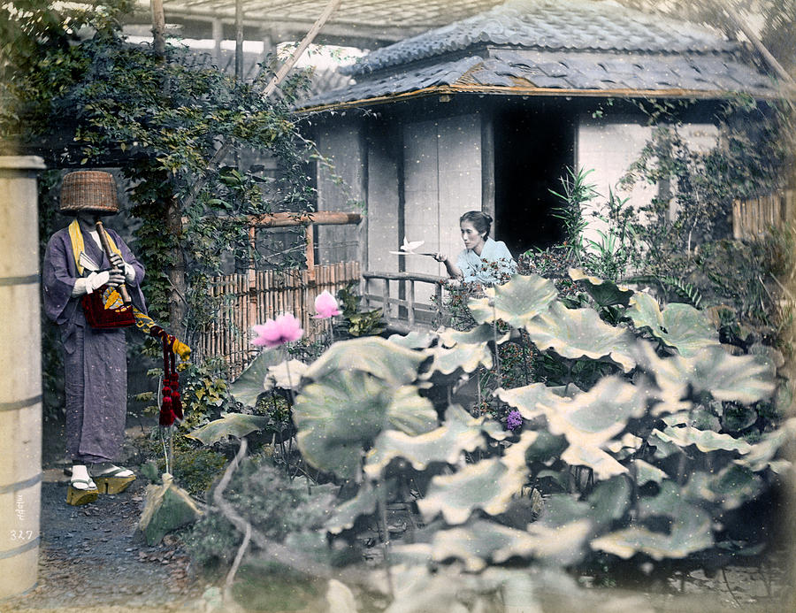 1870 Japanese Garden Scene Photograph by Historic Image