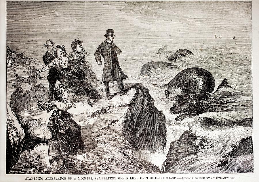 1871 Kilkee Irish Sea Monster Serpent Photograph by Paul D Stewart