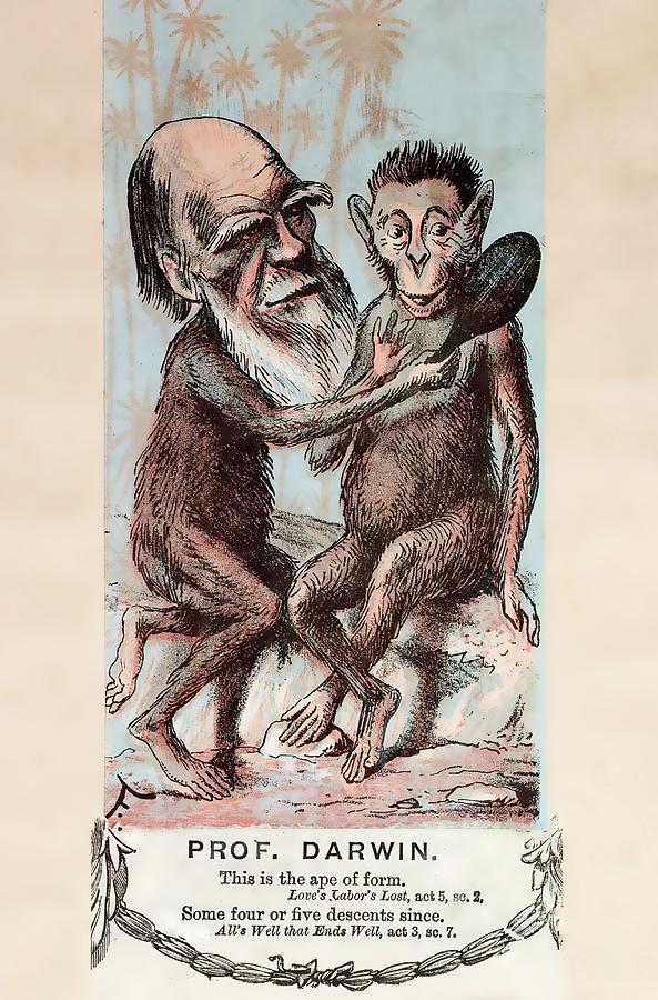 1874 Monkey Darwin Cartoon By Faustin Photograph by Paul D Stewart