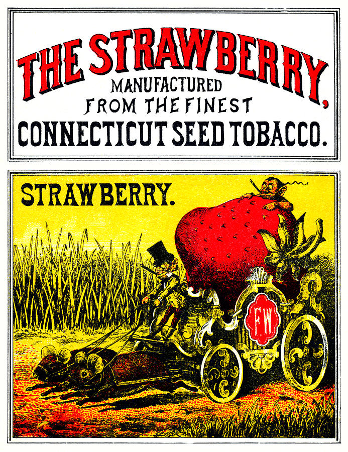 1874 The Strawberry Cigar Painting by Historic Image