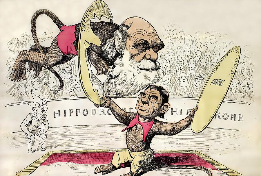 1878 Darwin As A Circus Monkey By Gill Photograph by Paul D Stewart