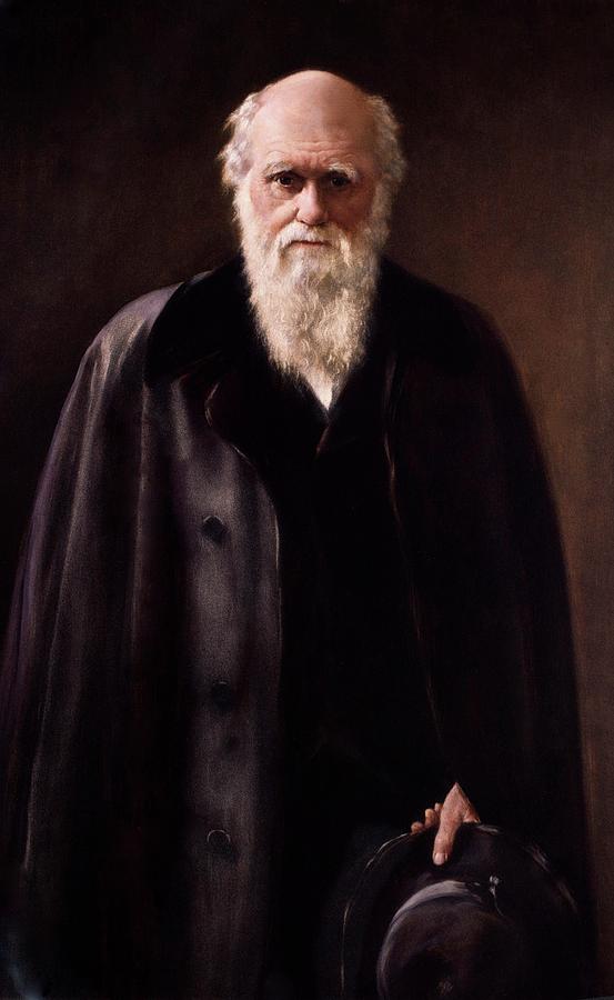 1881 Charles Darwin Portrait Aftr Collier Photograph by Paul D Stewart