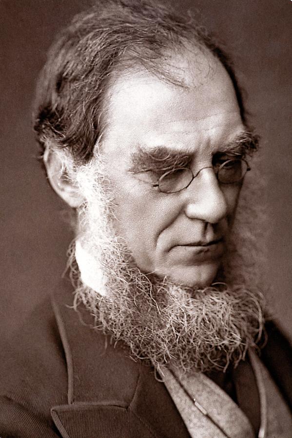 Portrait Photograph - 1881 Sir Joseph Hooker Botanist Darwinian by Paul D Stewart