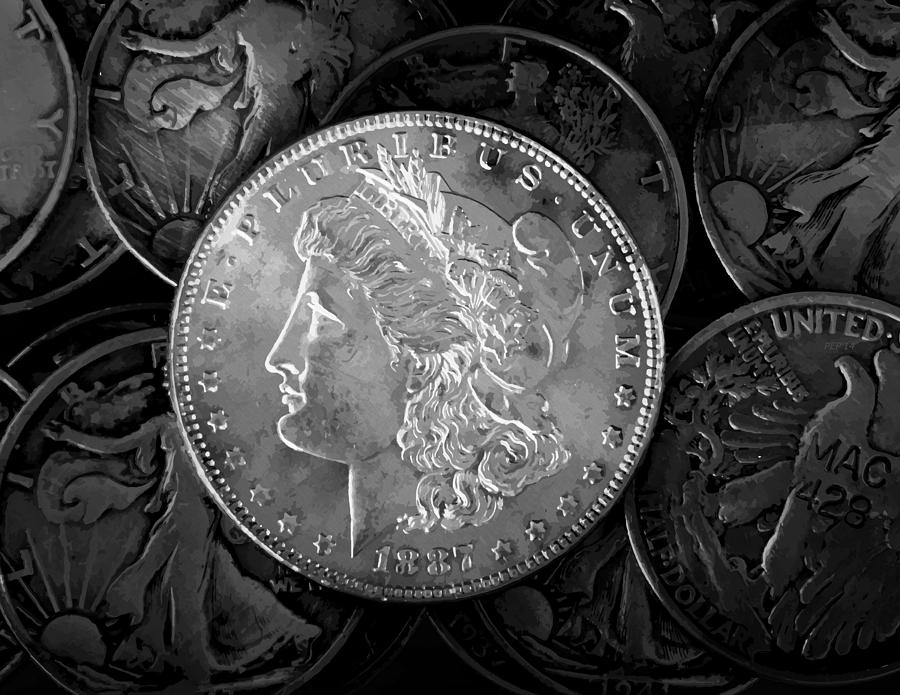 1887 Liberty Silver Dollar Photograph by Phil Perkins