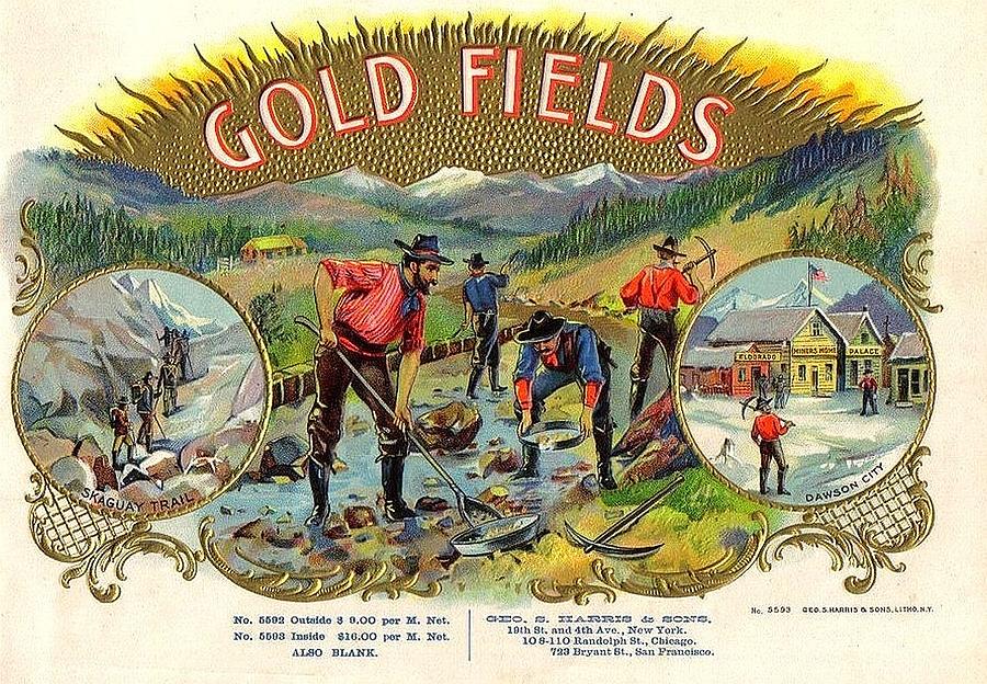 1890 Gold Fields Mixed Media by Maciek Froncisz