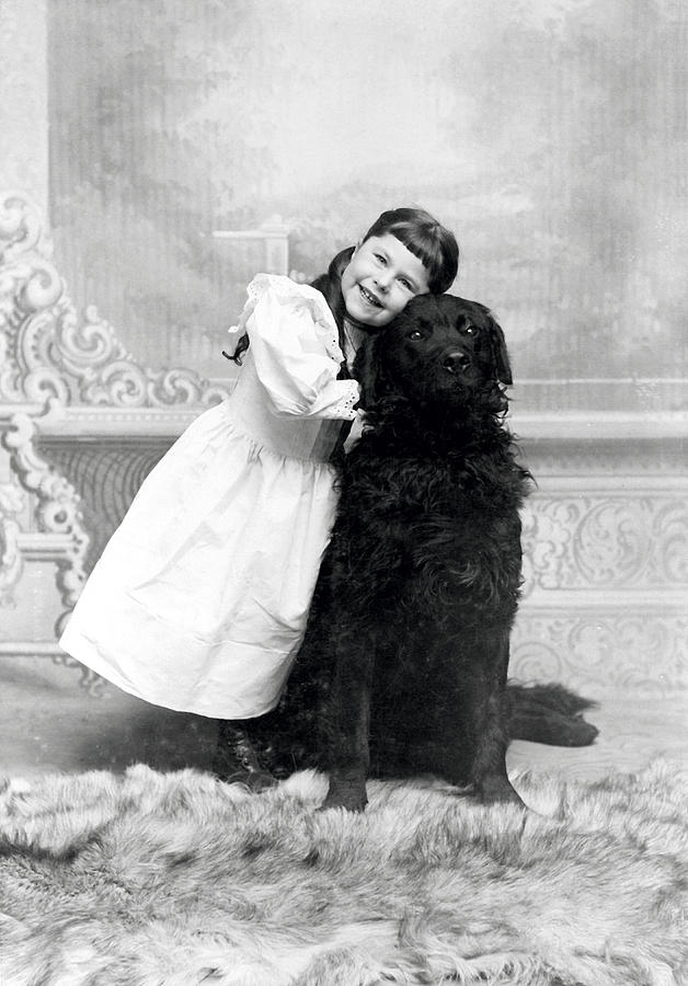 1890 Happy Girl and her Retriever  Photograph by Historic Image