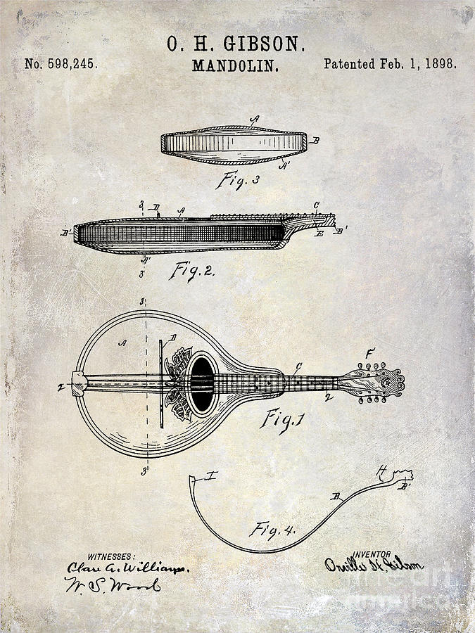 1898 Gibson Mandolin Patent Drawing Photograph by Jon Neidert
