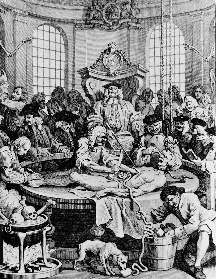 18th Century Caricature Of A Dissection Lesson. Photograph by Science Photo Library