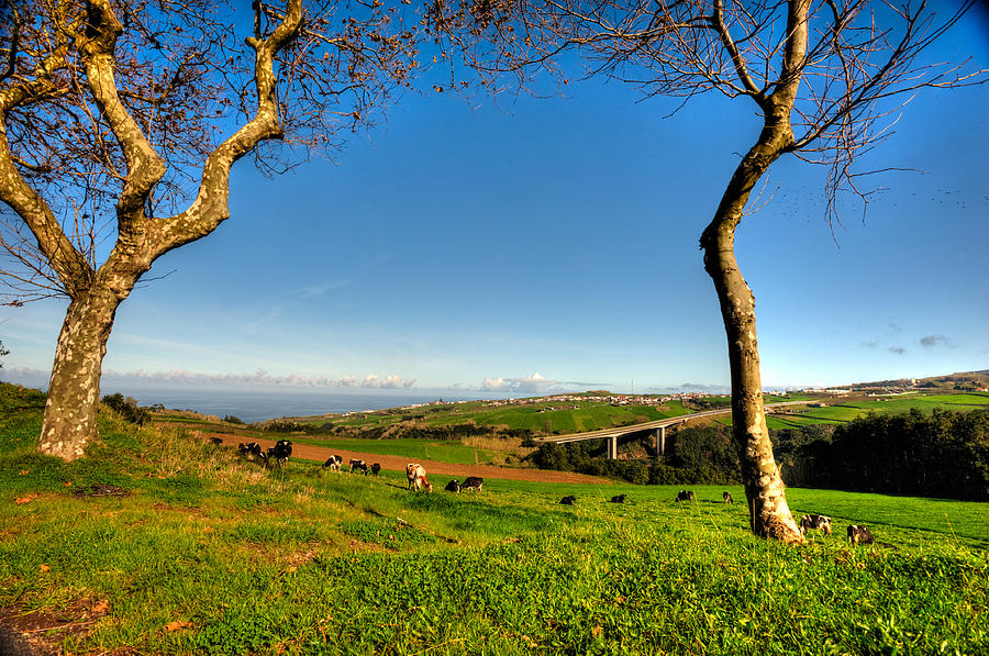 Azores Landscapes #19 Photograph by Joseph Amaral