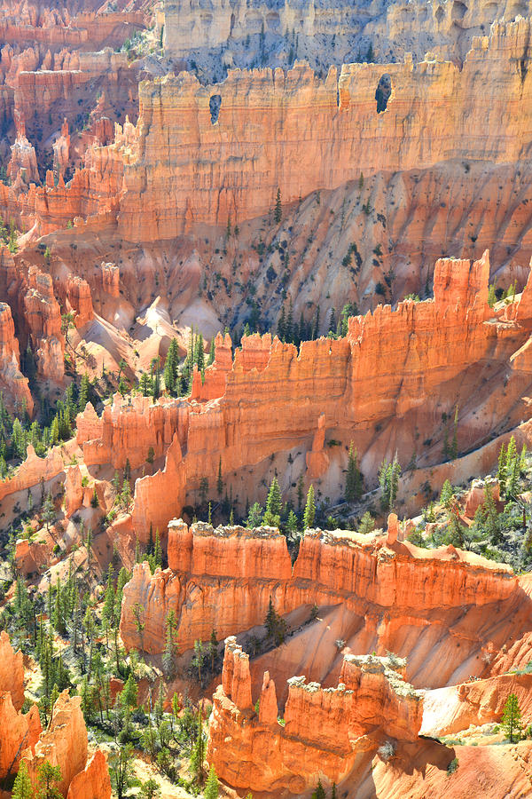Bryce Canyon National Park Photograph - Bryce Canyon #27 by Ray Mathis