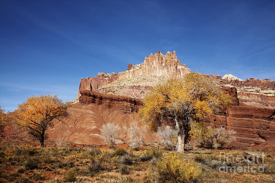 Capitol Reef National Park Photograph - Capitol Reef National  Park Cathedral Valley #19 by Southern Utah  Photography