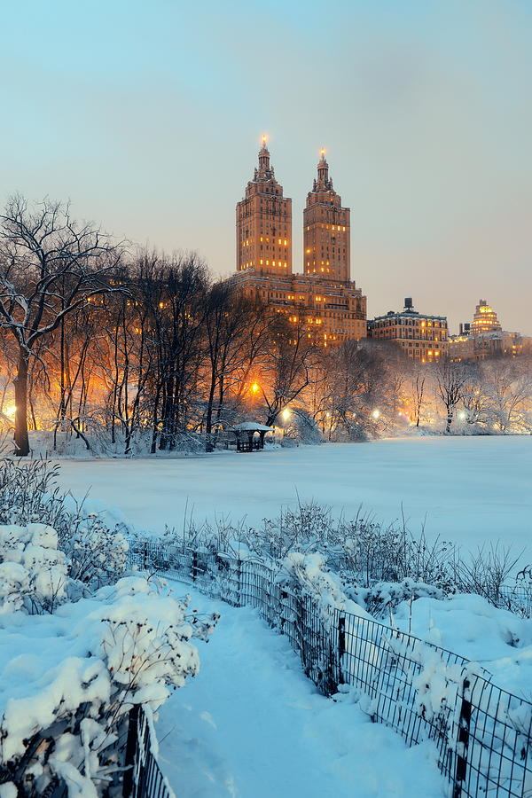Central Park winter #19 Photograph by Songquan Deng