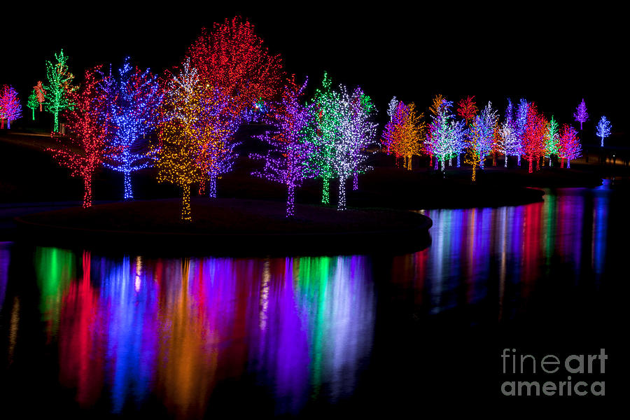 Christmas Reflections #19 Photograph by Anthony Totah