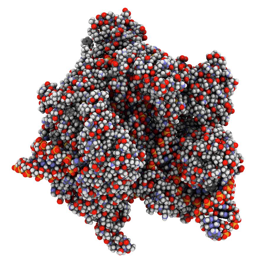 Crispr-cas9 Gene Editing Complex Photograph by Molekuul - Fine Art America