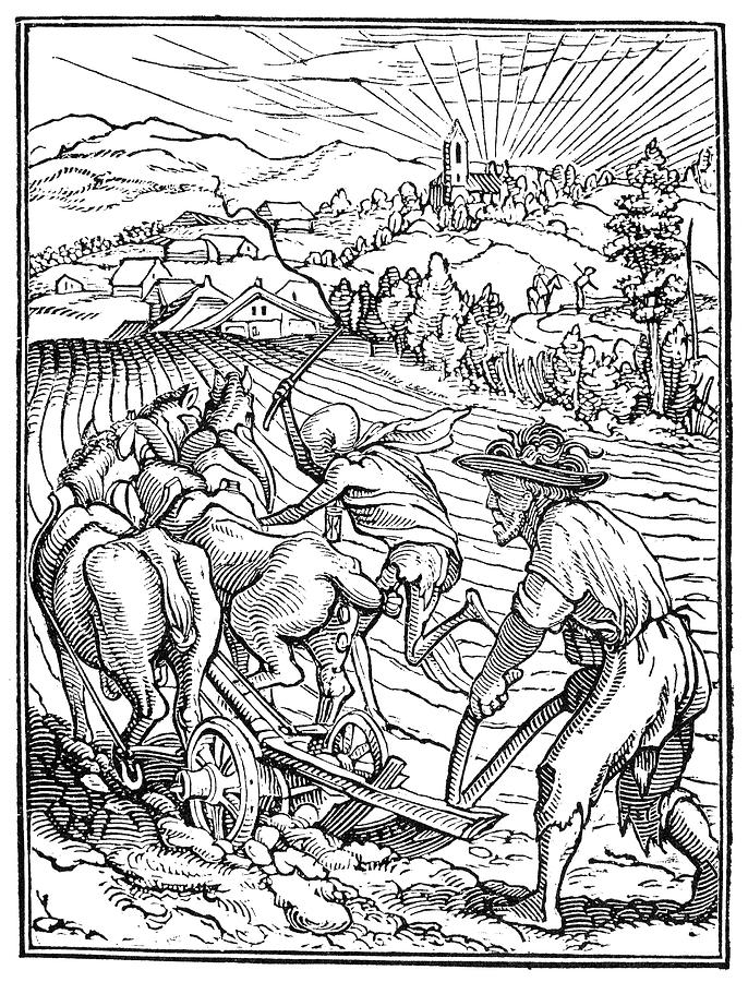 Dance Of Death - Death and the Ploughman, 1538 Drawing by Granger