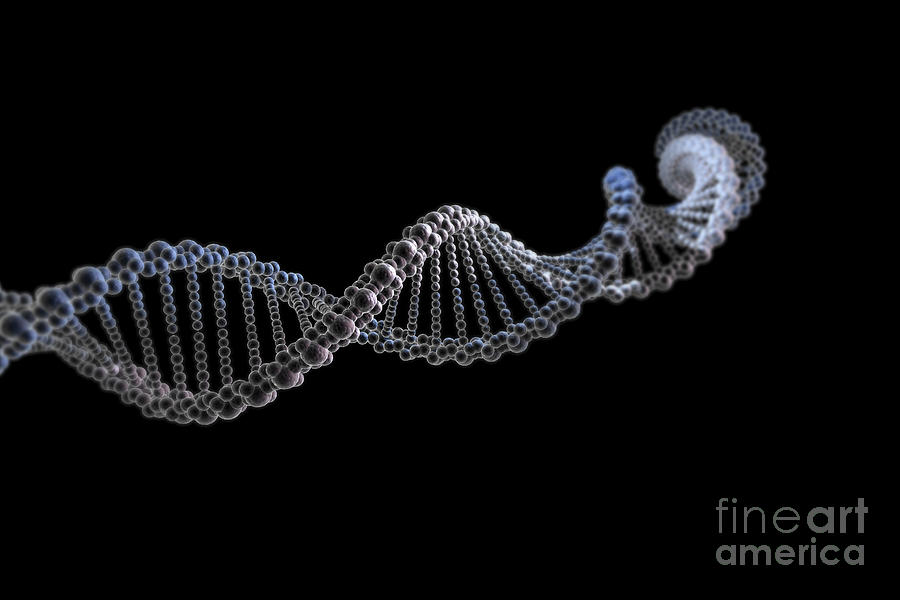 Dna #19 Photograph by Science Picture Co