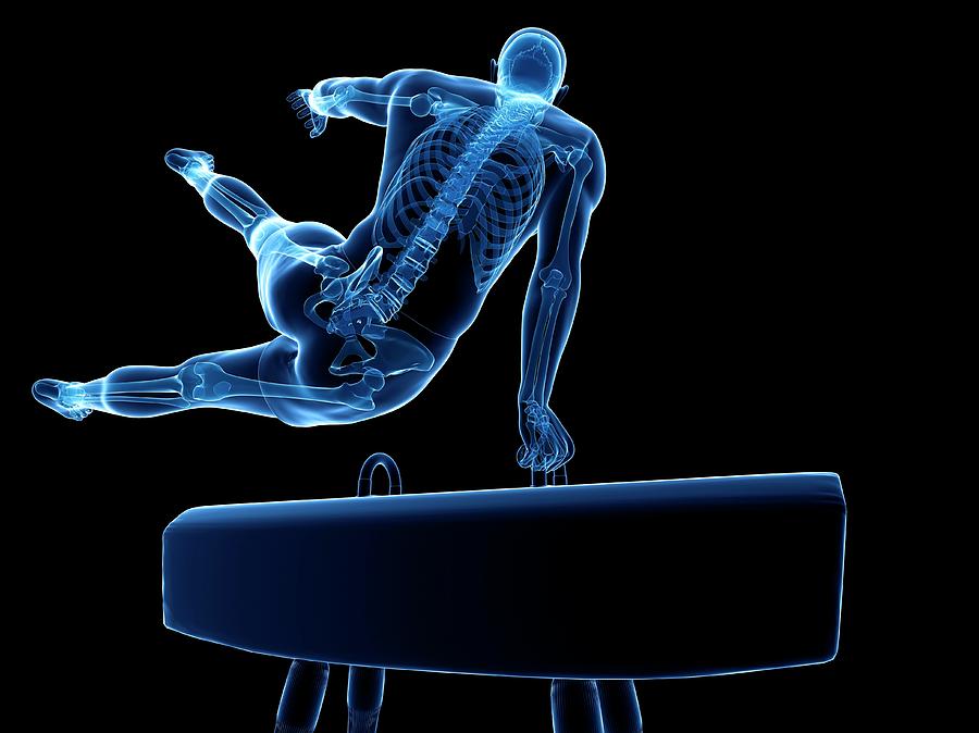 Skeleton Photograph - Gymnast #19 by Sciepro/science Photo Library