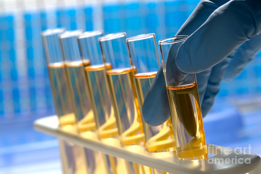 Laboratory Test Tubes In Science Research Lab Photograph