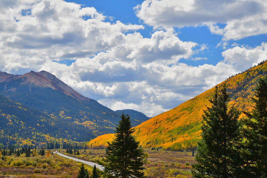 Red Mountain Pass Fall Colors #38 Photograph by Ray Mathis