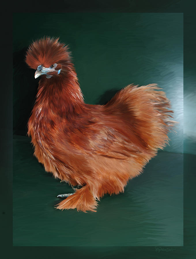 Chicken Digital Art - 19. Red Silkie hen by Sigrid Van Dort Chicken Digital Art - 19. Red Silkie hen by Sigrid Van Dort