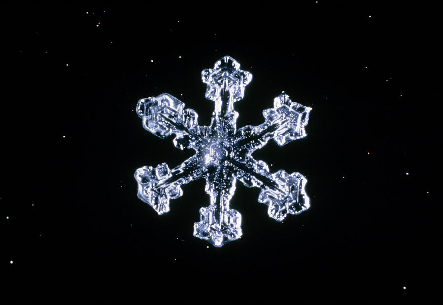 Snowflake #19 Photograph by Perennou Nuridsany