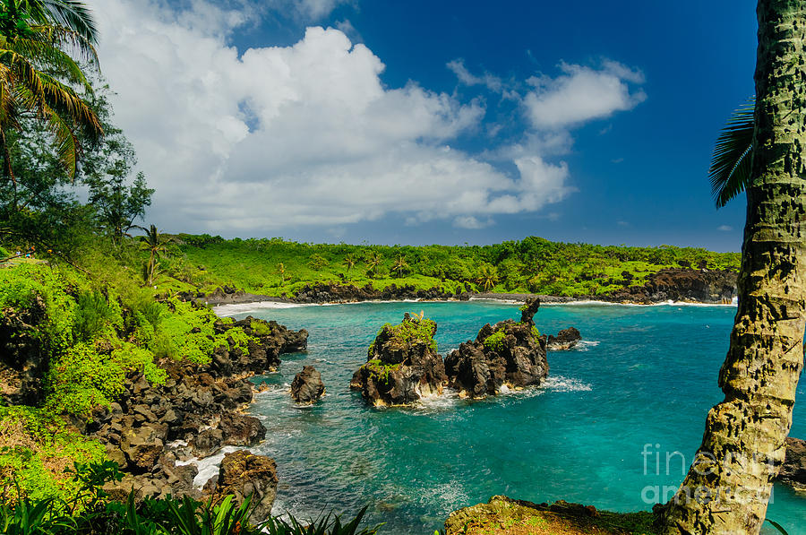 Spectacular ocean view on the Road to Hana Maui Hawaii USA #19 Photograph by Don Landwehrle