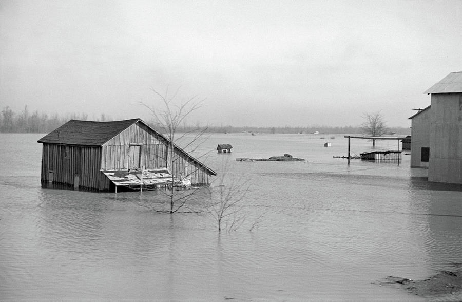 Tennessee Flood, 1937 #19 Photograph by Granger