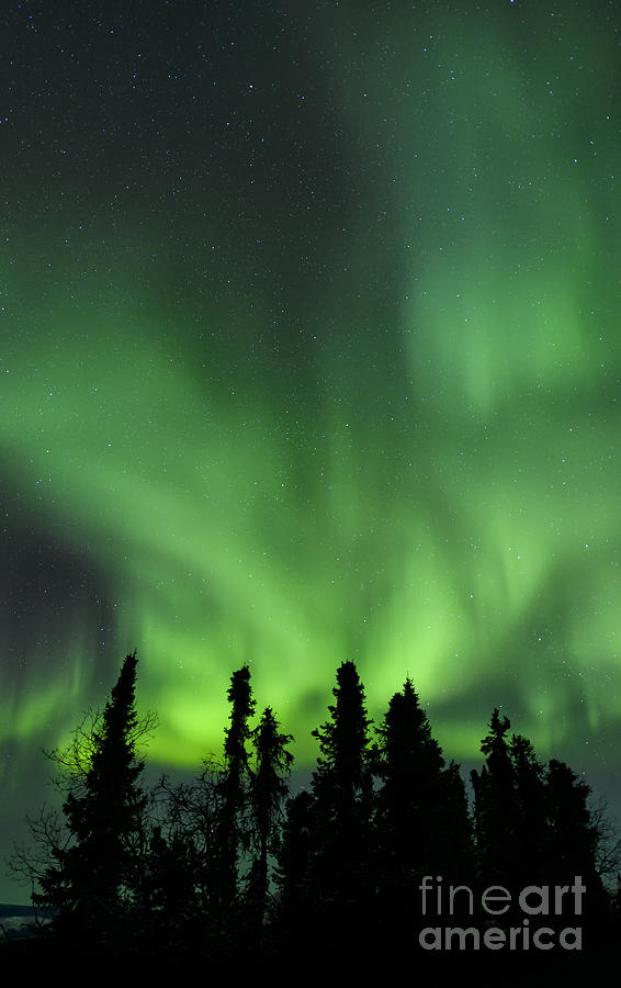 Science Photograph - The Aurora Borealis #19 by John Shaw