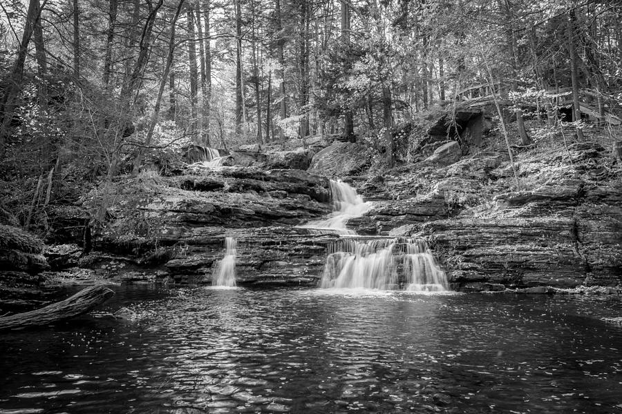 Waterfalls George W Childs National Park Painted BW   #19 Photograph by Rich Franco