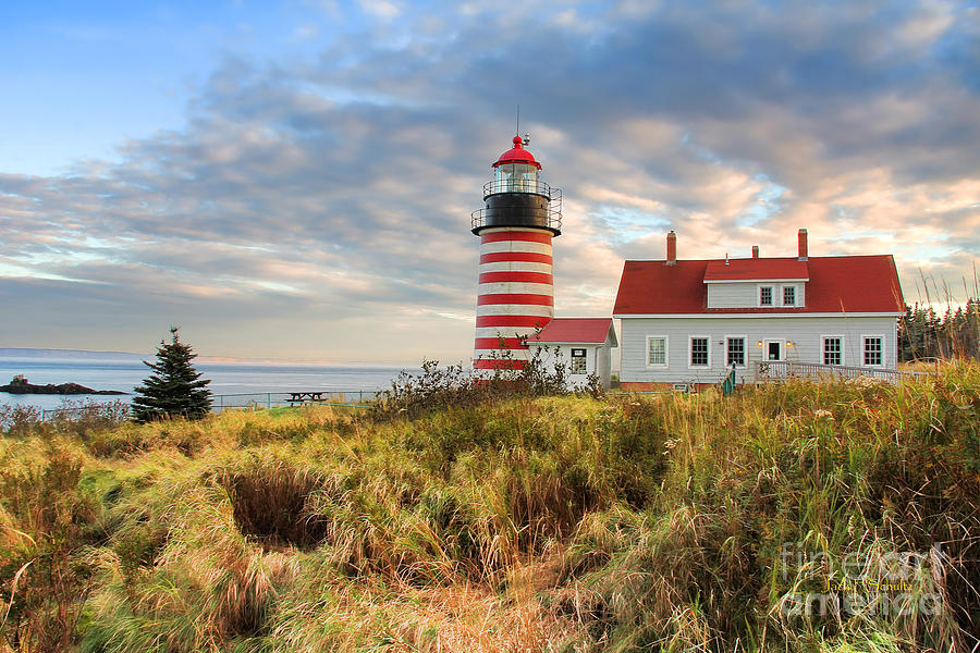 West Quoddy Head Lighthouse Photograph - West Quoddy Head Lighthouse #1 by Jack Schultz