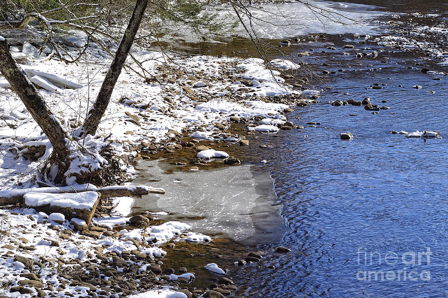 Winter along Williams River #21 Photograph by Thomas R Fletcher