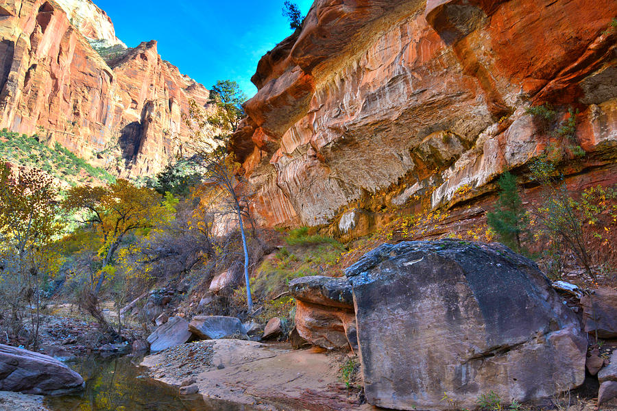 Zion National Park #20 Photograph by Ray Mathis