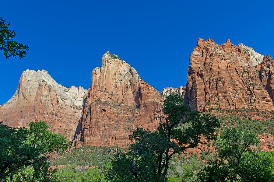 Zion National Park #19 Photograph by Willie Harper